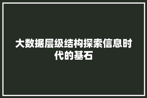 大数据层级结构探索信息时代的基石