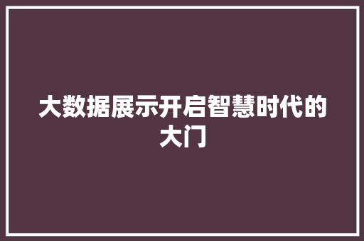 大数据展示开启智慧时代的大门