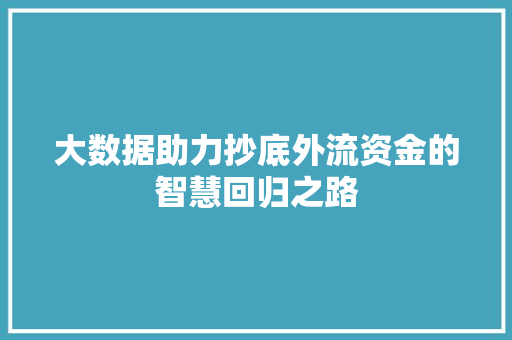 大数据助力抄底外流资金的智慧回归之路