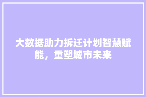 大数据助力拆迁计划智慧赋能，重塑城市未来 WordPress教程