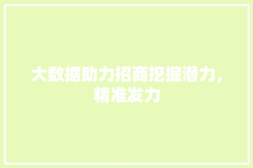 大数据助力招商挖掘潜力，精准发力