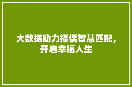 大数据助力择偶智慧匹配，开启幸福人生