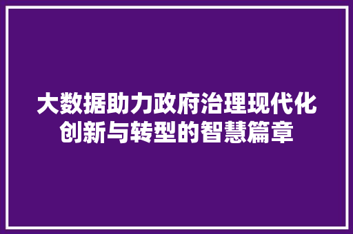大数据助力政府治理现代化创新与转型的智慧篇章