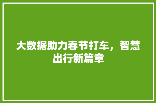 大数据助力春节打车，智慧出行新篇章