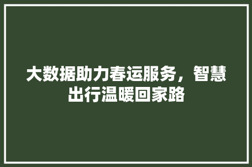 大数据助力春运服务，智慧出行温暖回家路