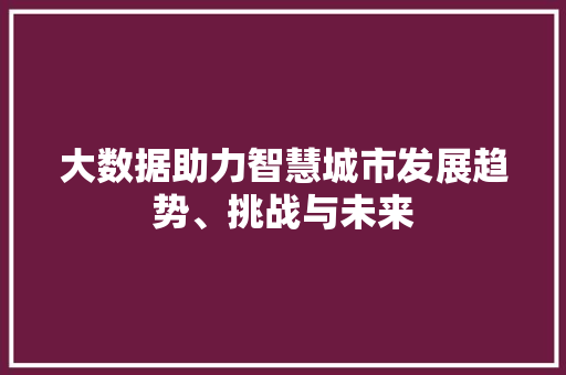 大数据助力智慧城市发展趋势、挑战与未来 Web前端