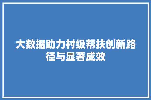 大数据助力村级帮扶创新路径与显著成效