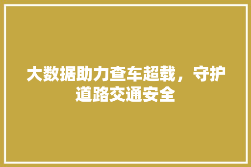 大数据助力查车超载，守护道路交通安全