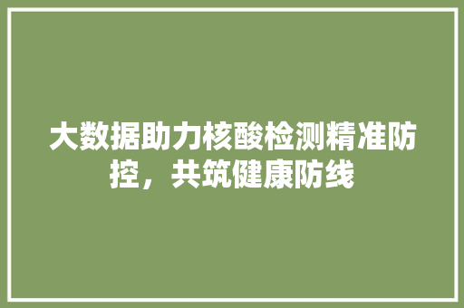 大数据助力核酸检测精准防控，共筑健康防线