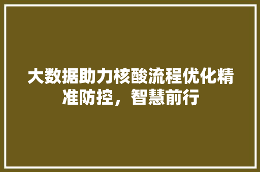 大数据助力核酸流程优化精准防控，智慧前行