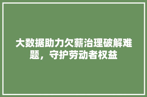 大数据助力欠薪治理破解难题，守护劳动者权益 WordPress教程
