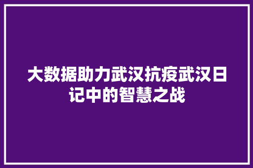 大数据助力武汉抗疫武汉日记中的智慧之战