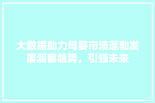 大数据助力母婴市场蓬勃发展洞察趋势，引领未来