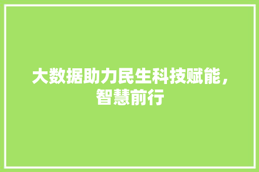 大数据助力民生科技赋能，智慧前行