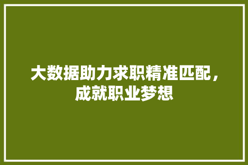 大数据助力求职精准匹配，成就职业梦想