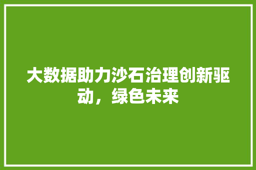 大数据助力沙石治理创新驱动，绿色未来 友链在线