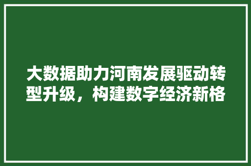 大数据助力河南发展驱动转型升级，构建数字经济新格局