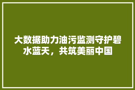 大数据助力油污监测守护碧水蓝天，共筑美丽中国