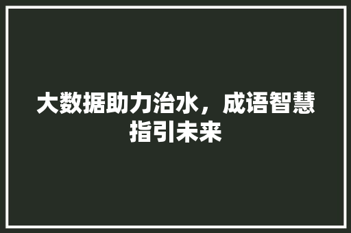 大数据助力治水，成语智慧指引未来