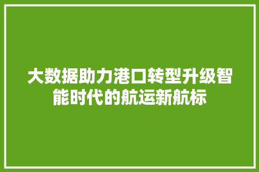 大数据助力港口转型升级智能时代的航运新航标