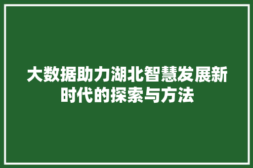 大数据助力湖北智慧发展新时代的探索与方法 SEO教程