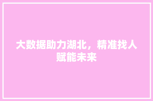 大数据助力湖北，精准找人赋能未来 SEO教程