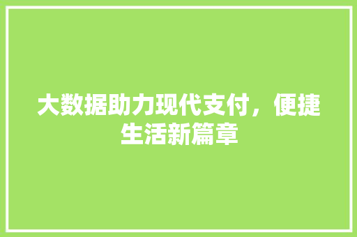 大数据助力现代支付，便捷生活新篇章