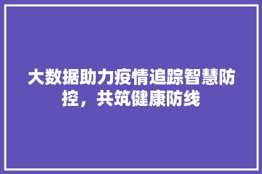 大数据助力疫情追踪智慧防控，共筑健康防线