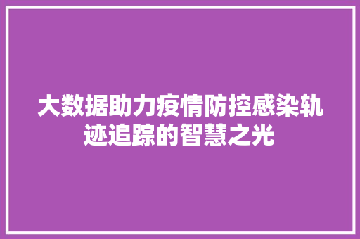 大数据助力疫情防控感染轨迹追踪的智慧之光 建站教程