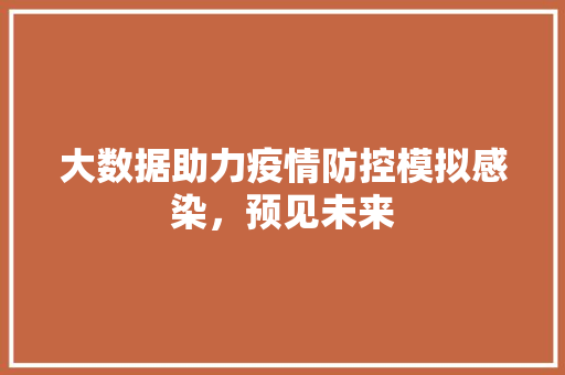 大数据助力疫情防控模拟感染，预见未来 建站教程
