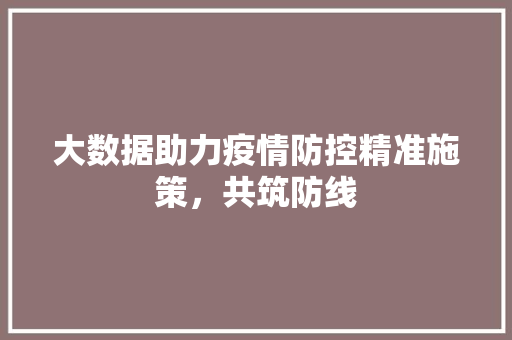 大数据助力疫情防控精准施策，共筑防线