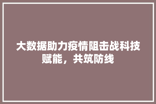 大数据助力疫情阻击战科技赋能，共筑防线