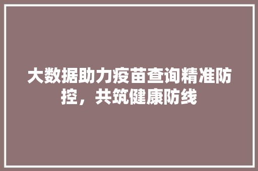 大数据助力疫苗查询精准防控，共筑健康防线 服务器/数据库