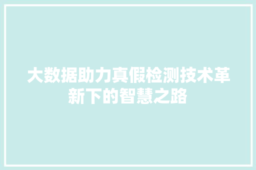 大数据助力真假检测技术革新下的智慧之路 建站教程