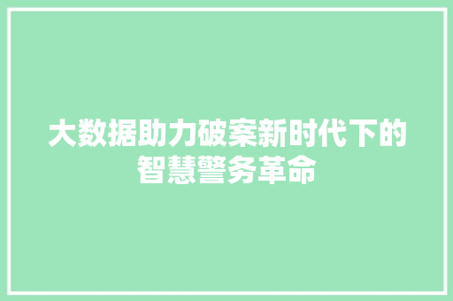 大数据助力破案新时代下的智慧警务革命