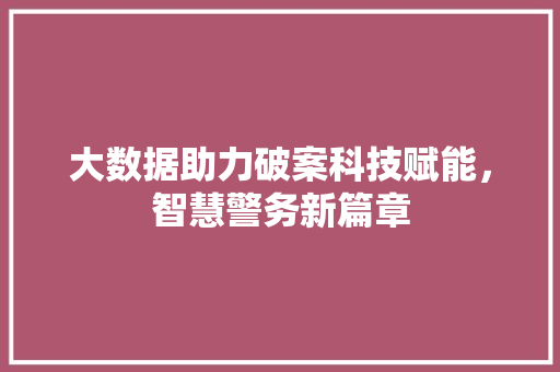 大数据助力破案科技赋能，智慧警务新篇章