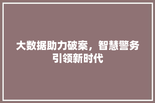 大数据助力破案，智慧警务引领新时代 Web前端