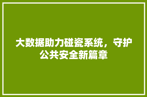 大数据助力碰瓷系统，守护公共安全新篇章 服务器/数据库