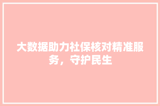 大数据助力社保核对精准服务，守护民生 服务器/数据库
