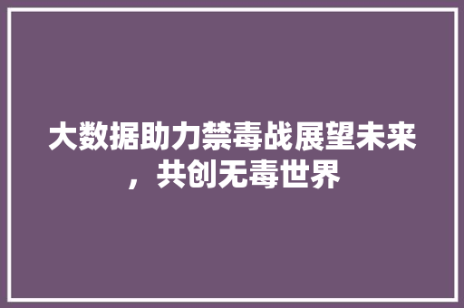 大数据助力禁毒战展望未来，共创无毒世界 Web前端