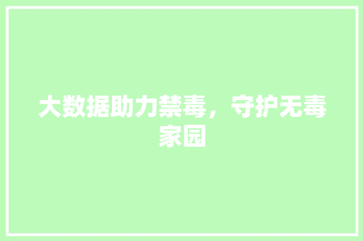 大数据助力禁毒，守护无毒家园 Web前端