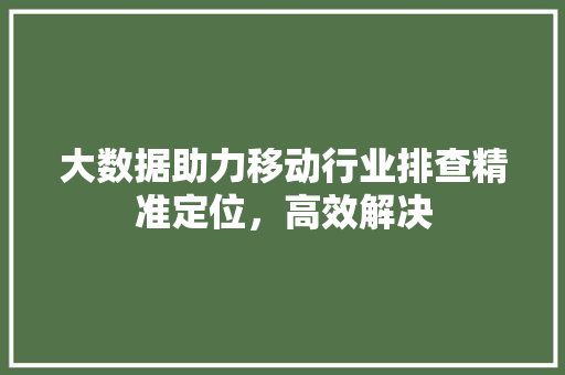 大数据助力移动行业排查精准定位，高效解决