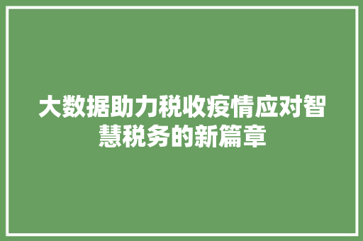 大数据助力税收疫情应对智慧税务的新篇章