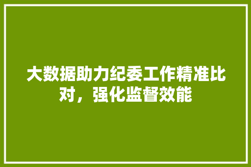 大数据助力纪委工作精准比对，强化监督效能