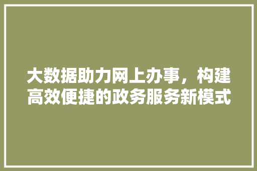 大数据助力网上办事，构建高效便捷的政务服务新模式