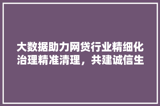 大数据助力网贷行业精细化治理精准清理，共建诚信生态