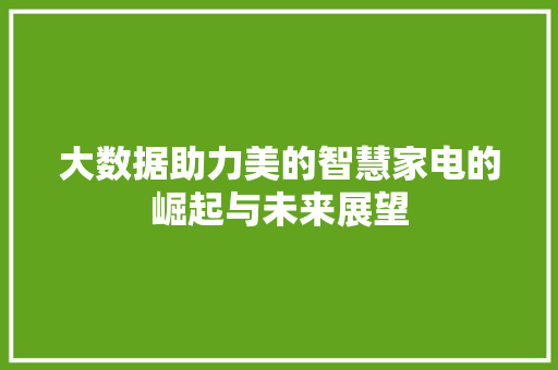 大数据助力美的智慧家电的崛起与未来展望
