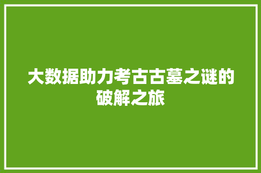大数据助力考古古墓之谜的破解之旅 SEO教程