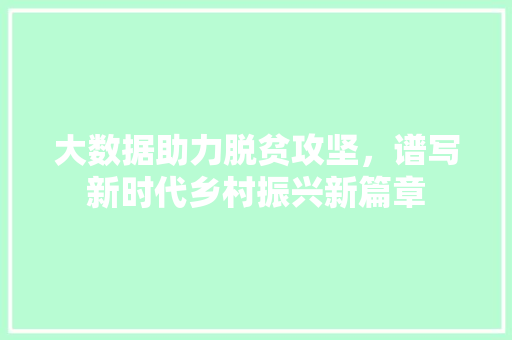 大数据助力脱贫攻坚，谱写新时代乡村振兴新篇章 SEO教程