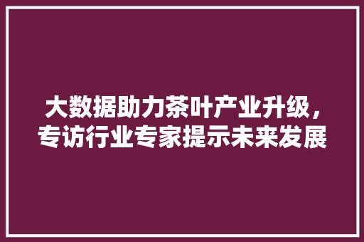 大数据助力茶叶产业升级，专访行业专家提示未来发展趋势